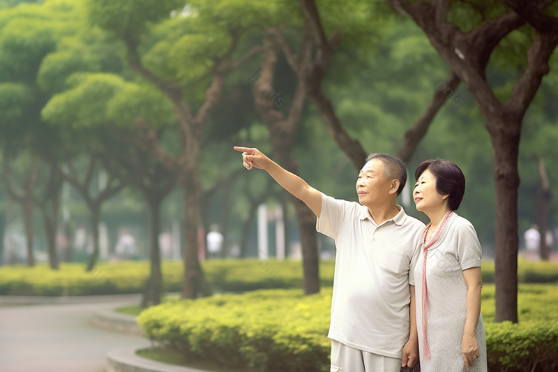 穿着短袖的老年人在公园里欣赏景色,高清,摄影图,摄影图片,图片大全,摄影图免费下载